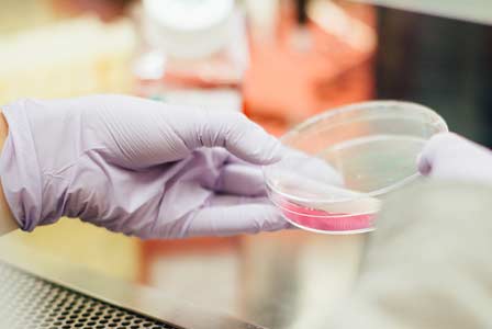 Eliminación de bacterias sin químicos